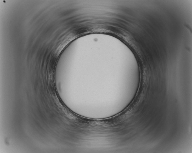 X0000103141281200809121746