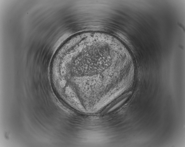 X0000103141283200809121745