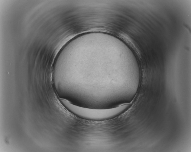 X0000103141284200809121745