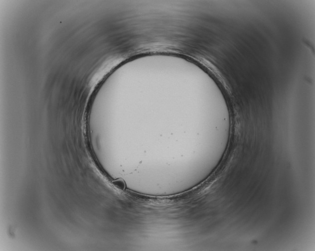 X0000103141285200809121745