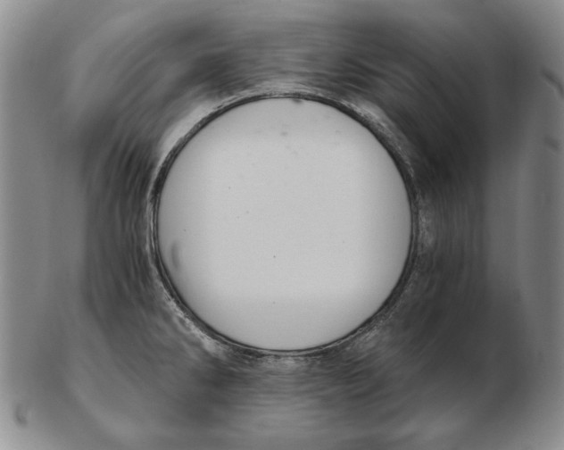 X0000103141286200809121745