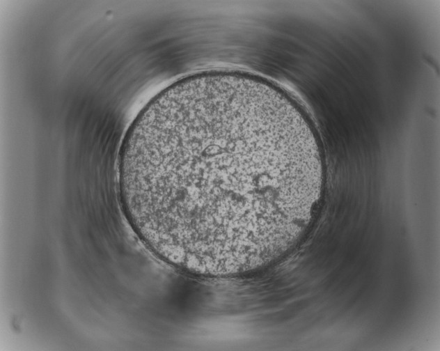 X0000103141287200809121745