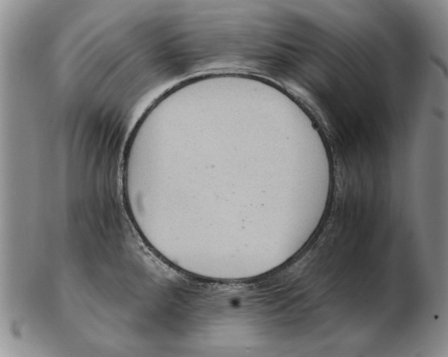 X0000103141288200809121745