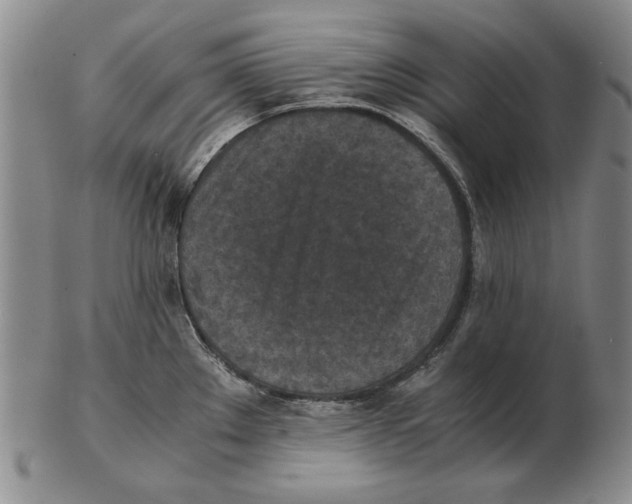 X0000103141289200809121745