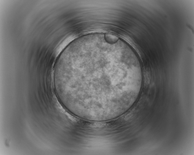 X0000103141290200809121745