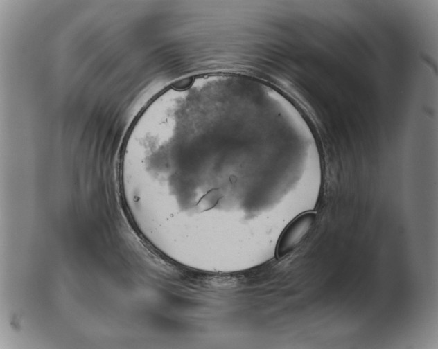 X0000103141291200809121745