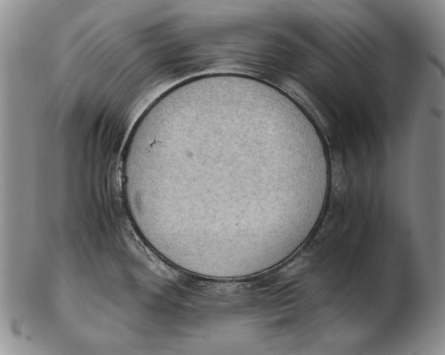 X0000103141292200809121745