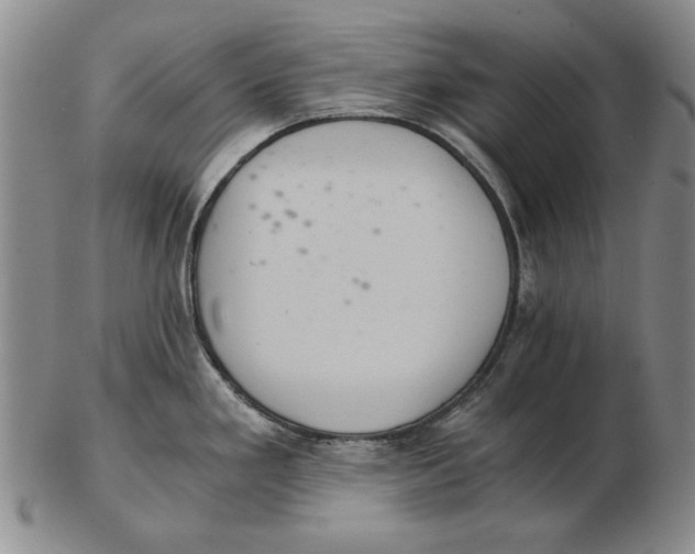 X0000103141293200809121745