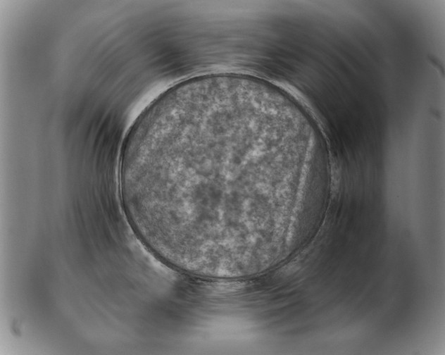 X0000103141294200809121745