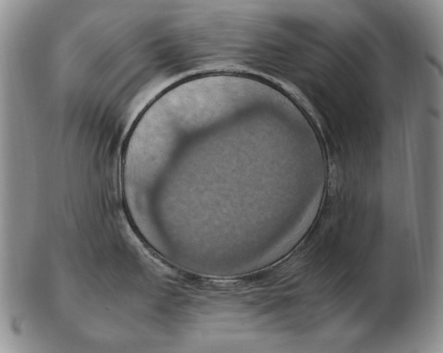 X0000103141295200809121745