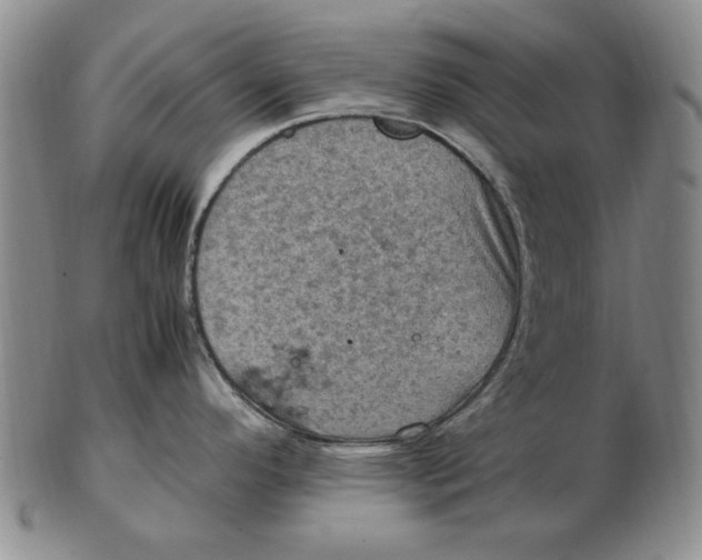 X0000103141296200809121745