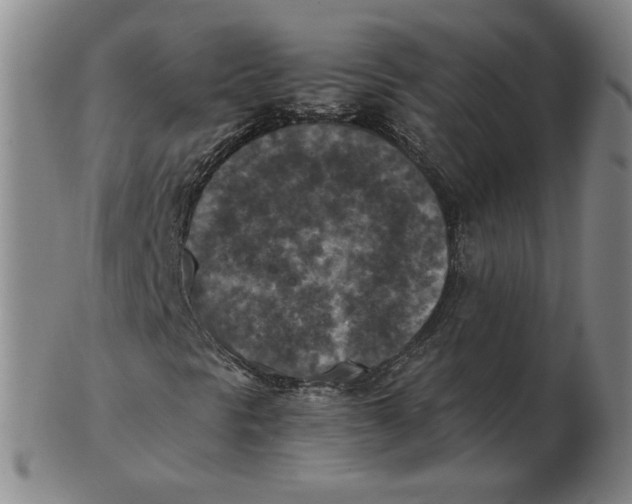 X0000103141297200809121745