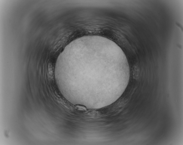 X0000103141298200809121745