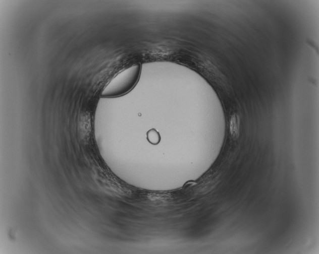 X0000103141299200809121745