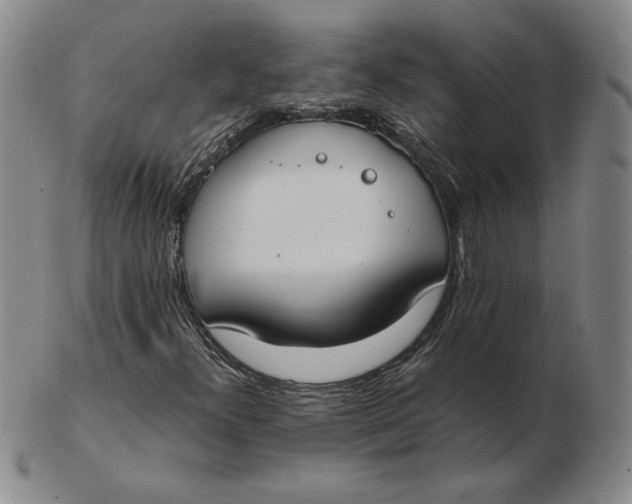 X0000103141300200809121745