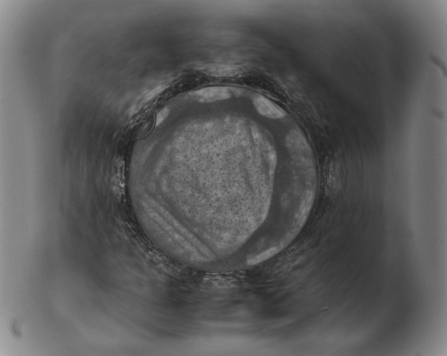 X0000103141301200809121745