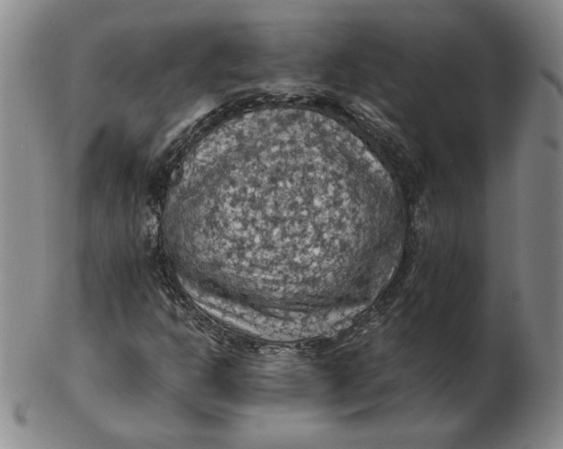 X0000103141302200809121745