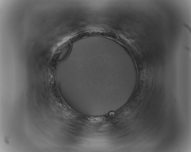 X0000103141303200809121745