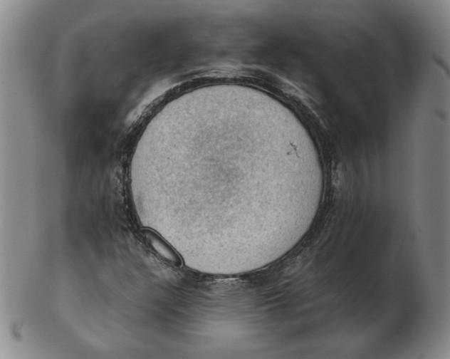 X0000103141304200809121745