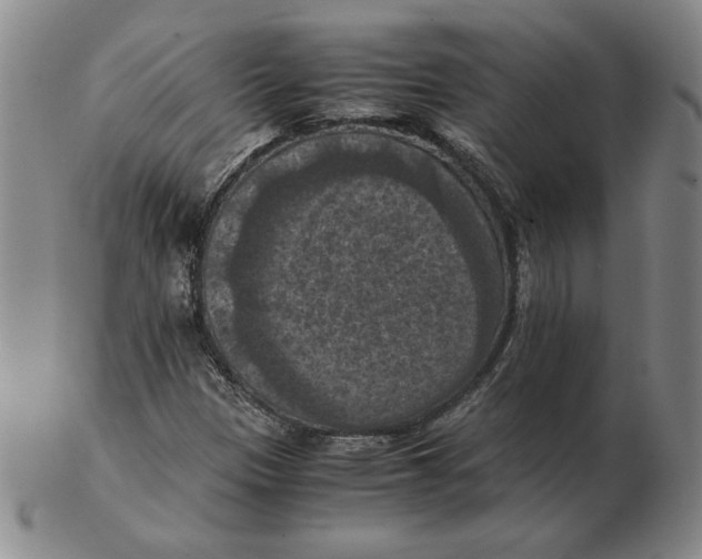 X0000103141305200809121745