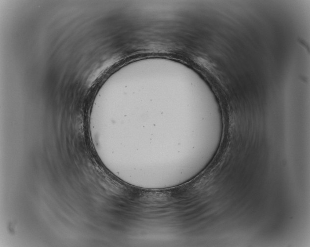 X0000103141307200809121745