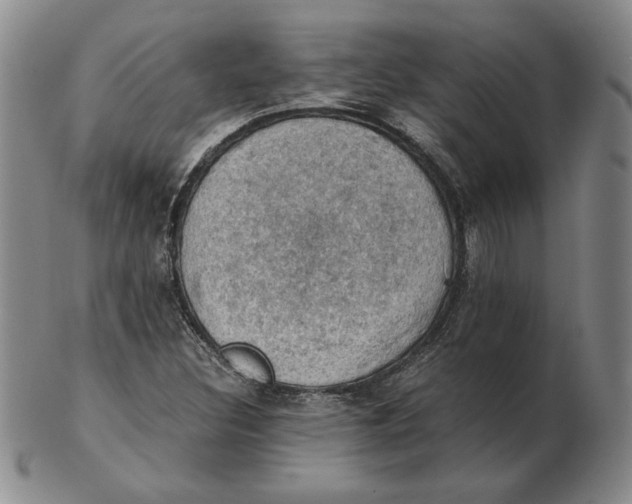 X0000103141308200809121745