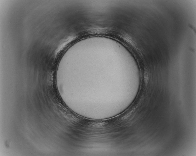 X0000103141309200809121745