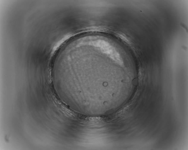 X0000103141310200809121745