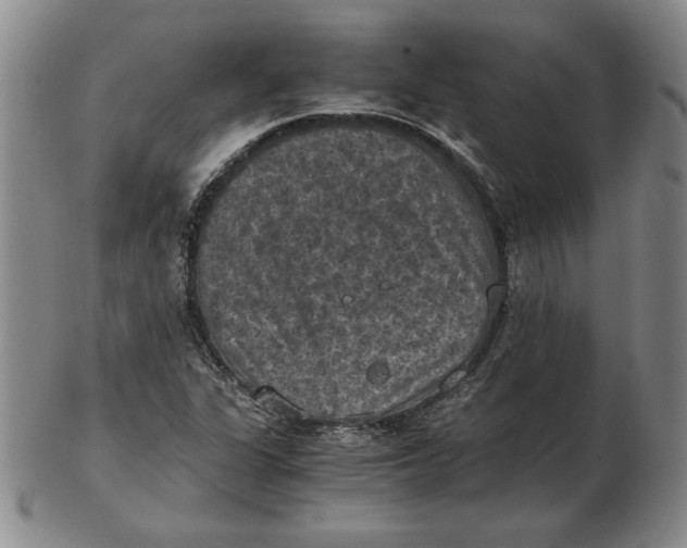 X0000103141311200809121745