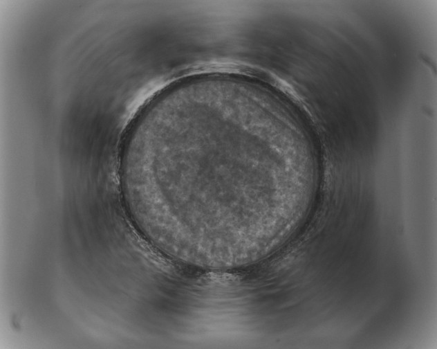 X0000103141312200809121745