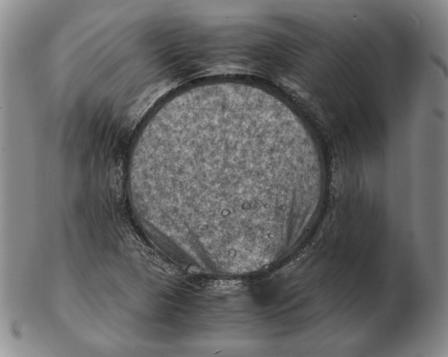 X0000103141313200809121745