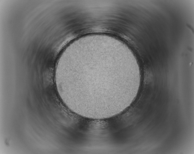 X0000103141314200809121745