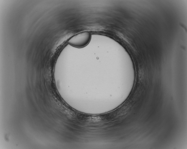 X0000103141315200809121745