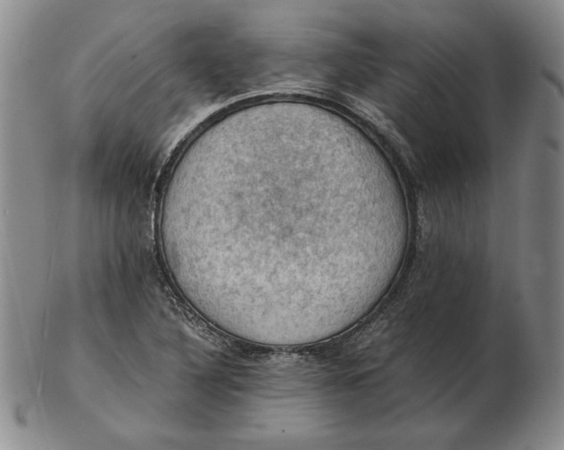 X0000103141316200809121745