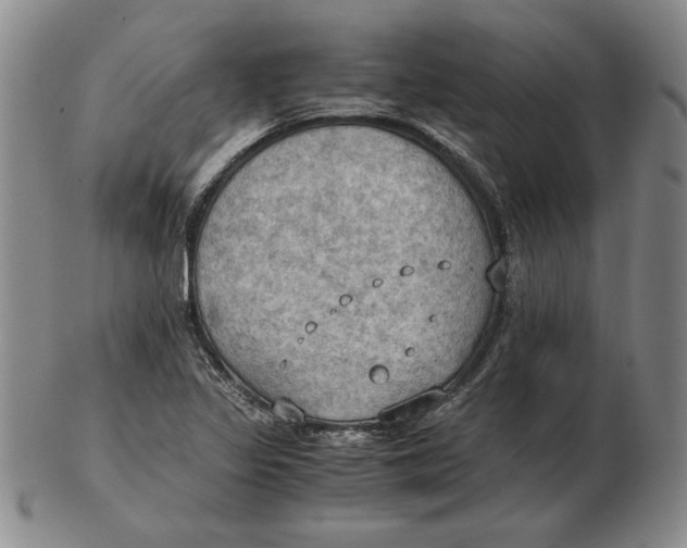 X0000103141317200809121745