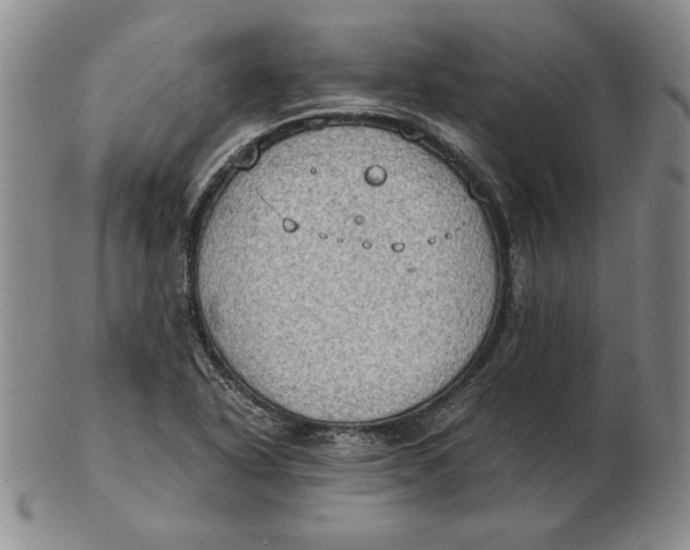 X0000103141318200809121745