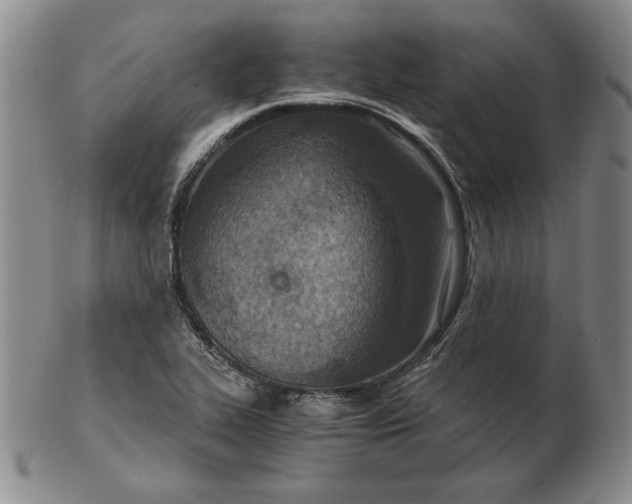 X0000103141319200809121745