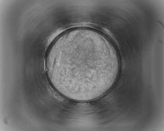 X0000103141320200809121745