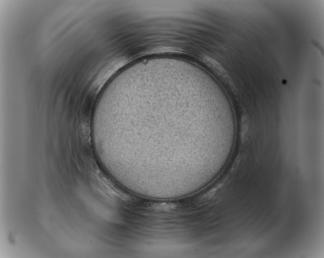 X0000103141321200809121745