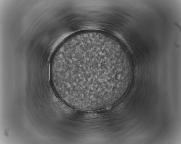 X0000103141323200809121745