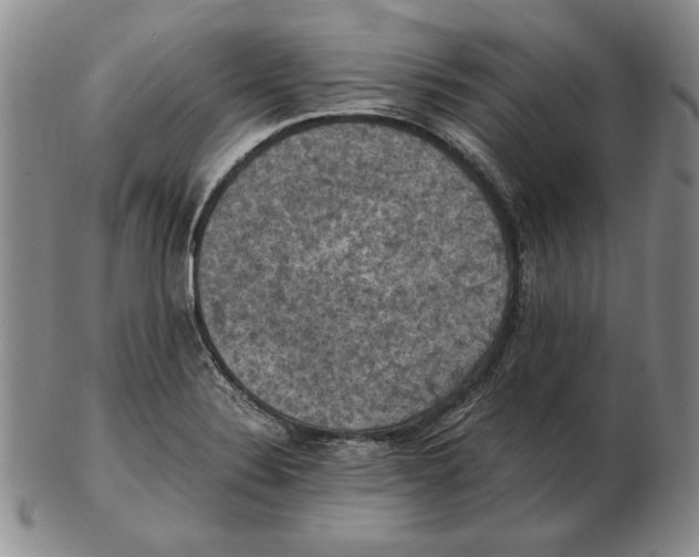 X0000103141324200809121745