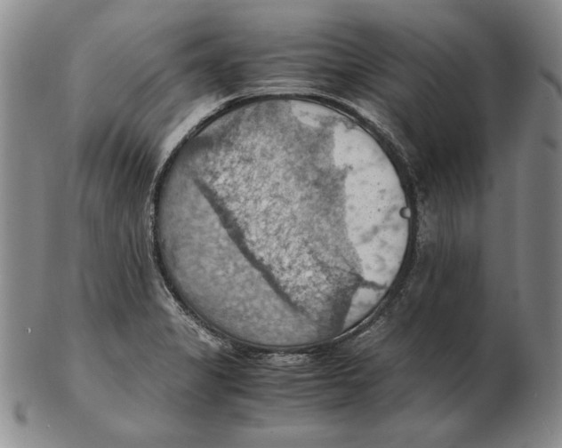 X0000103141325200809121745