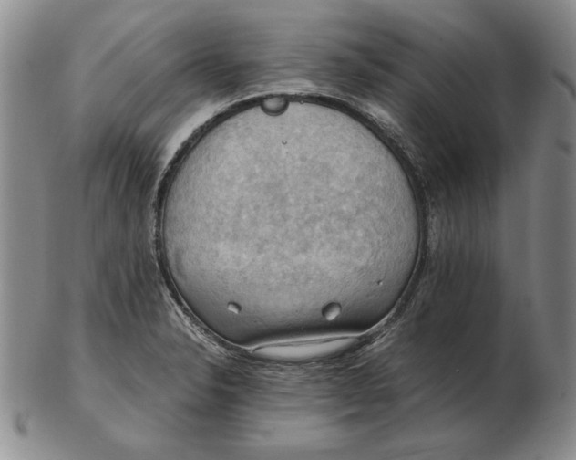 X0000103141326200809121745