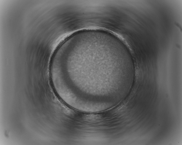 X0000103141327200809121745