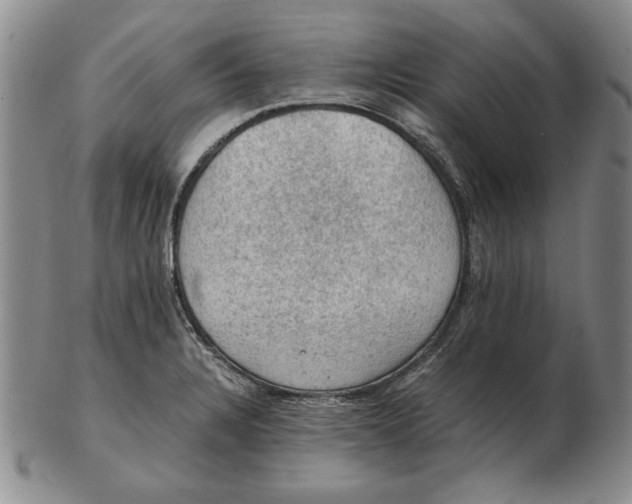 X0000103141328200809121745