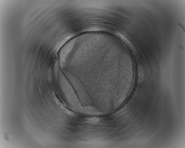 X0000103141329200809121745