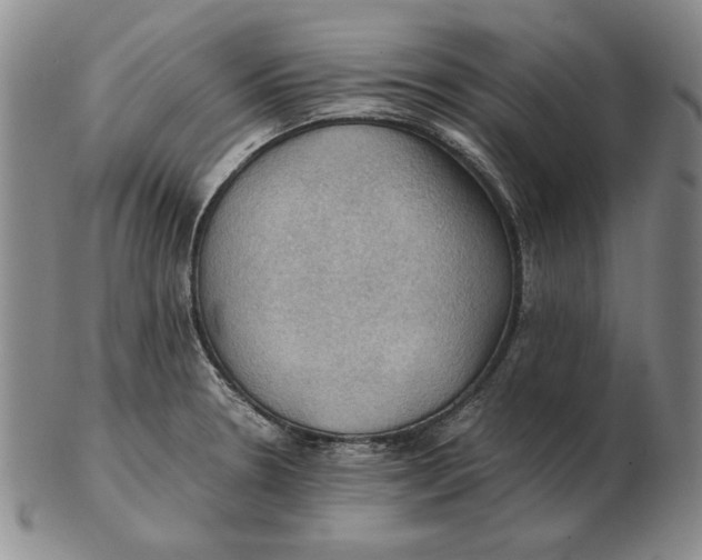 X0000103141330200809121745