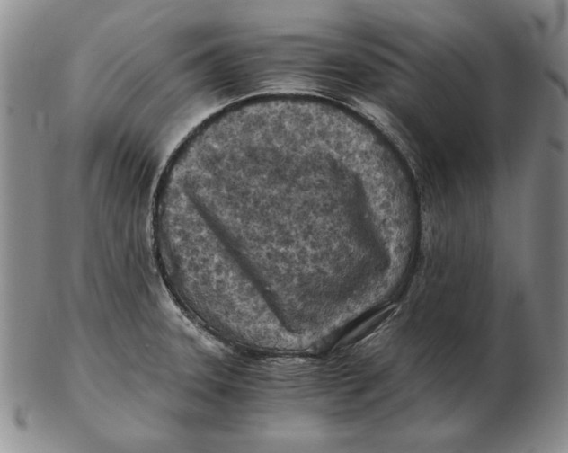 X0000103141331200809121745