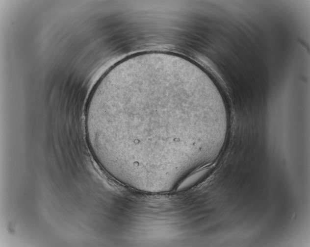 X0000103141332200809121745