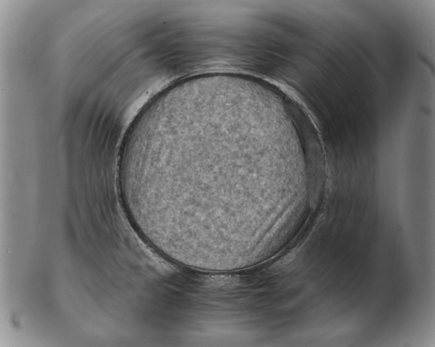 X0000103141333200809121745